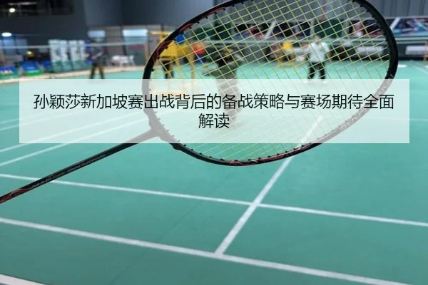 孙颖莎新加坡赛出战背后的备战策略与赛场期待全面解读