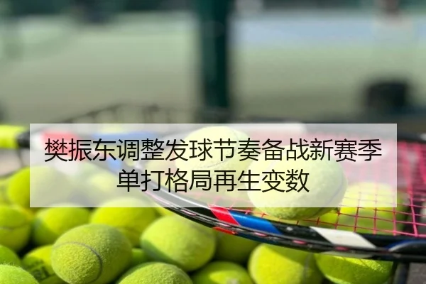 樊振东调整发球节奏备战新赛季 单打格局再生变数