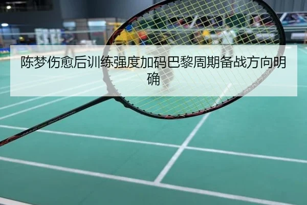 陈梦伤愈后训练强度加码巴黎周期备战方向明确